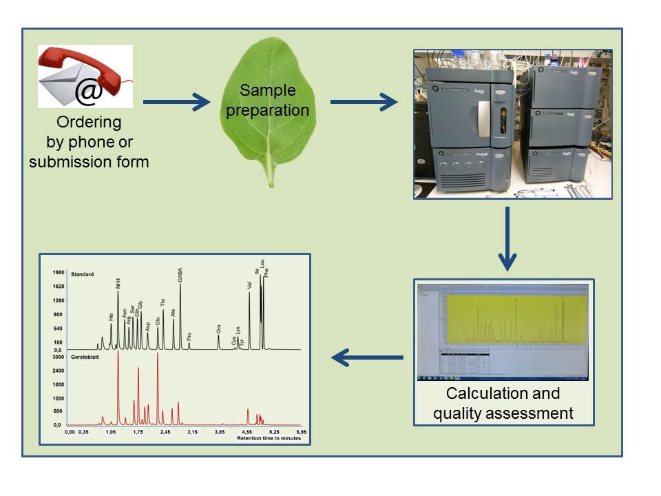 order process Bioanalytics Gatersleben